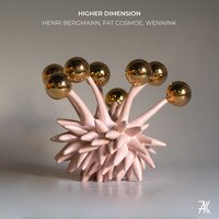 Henri Bergmann & Fat Cosmoe & Wennink - Higher Dimension