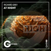 At Night - Richard Grey