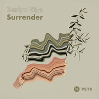 Darlyn Vlys - Surrender