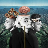 Clean Bandit & Zara Larsson - Symphony